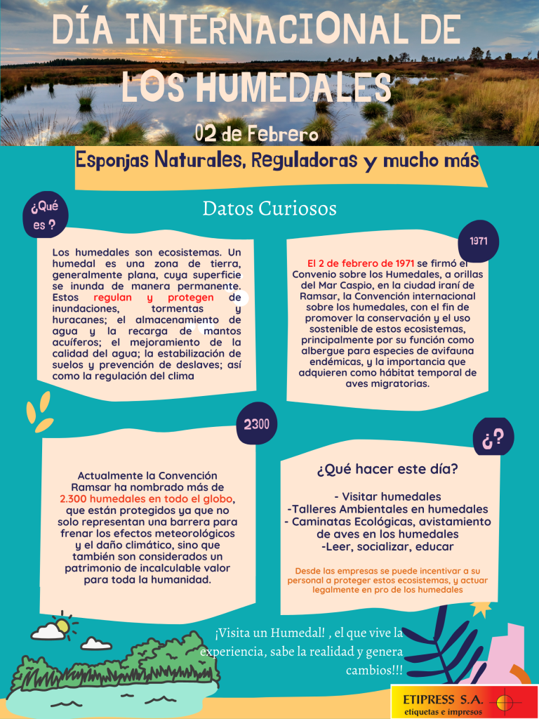 Los humedales son áreas que permanecen en condiciones de inundación o con suelo saturado con agua durante períodos considerables de tiempo. Si bien este término engloba una amplia variedad de ecosistemas, todos los humedales comparten una propiedad primordial: el agua es el elemento clave que define sus características físicas, vegetales, animales y sus relaciones. Son un resguardo de inmensas cantidades de especies (fauna y flora) y un equilibrante natural en todos los sentidos. 