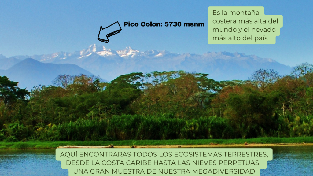 Día Internacional de las Montañas